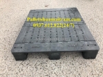 Pallet nhựa cũ giá rẻ tại bình dương
