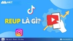 Reup là gì các bác nhỉ? cách để reup video mà không sợ ăn gậy bản quyền!