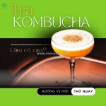 Trà kombucha có chứa cồn không?