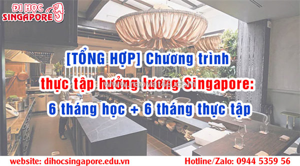~/Img/2024/3/phan-tich-tuong-lai-va-xu-huong-cua-chuong-trinh-thuc-tap-sinh-tai-singapore-01.png