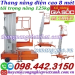 Thanh lý xả hàng giá cực sốc - thang nâng điện đơn 125kg nâng cao 8 mét