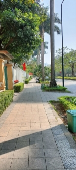 ⚜️ biệt thự vip c2 kđt ciputra, phú thượng, tây hồ, 640m2 4t mt 50m, chỉ 205 tỷ