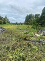 📢 cần bán đất nền tại ấp 7, xã vị thuỷ, huyện vị thuỷ, tỉnh hậu giang. giá: 50