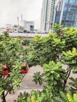 ⚜️ mặt phố vip nguyễn trãi, thanh xuân 56m2 4t mt 3.5m siêu kd, chỉ 16.8 tỷ ⚜️