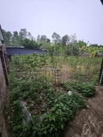 Bán đất 550m2 làm nhà vườn tại hữu thủ 2, kim long, tam dương, vĩnh phúc