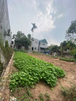 Bán đất hiền ninh, sóc sơn. 80m full thổ cư. thông số vàng. giá 2,16 tỷ có