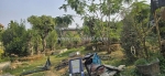 Bán gấp 2173m2 đất xã thủy xuân tiên, huyện chương mỹ (cạnh tt xuân mai) đường