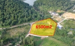 Bán gấp lô góc 6500m đất hoa sơn, nam sơn, sóc sơn. giá 19,5 tỷ. xung quanh