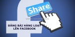 Cách đăng bài lên hàng loạt  trang cá nhân facebook