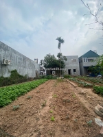 Cần thanh khoản trước tết 80m đất hiền ninh. full thổ cư. thông sô vàng. giá