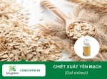 Chiết xuất yến mạch cao cấp - nguyên liệu làm mỹ phẩm uy tín