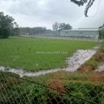 Chính chủ cần bán gấp mảnh đát ở lộc an, lộc hưng,trảng bàng, tây ninh, dt