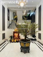 Cơ hội sở hữu nhà hẻm đường nguyễn trãi, p7, q5, 60m² - chỉ 11,5 tỷ