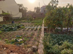 Đất đẹp 108m2, mt5m, ô tô 7 chỗ ngủ gầm giường, 2.67 tỷ, phù lỗ, sóc sơn.