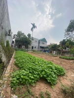 Đất hiền ninh, sóc sơn. full thổ cư, đường thông 4m. dt 80m2, mt 5,5m. chỉ 2,16