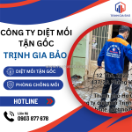 Diệt mối tại bình thạnh