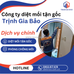 Diệt mối tận gốc tại bình thạnh