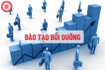 Khóa học bồi dưỡng quản lý nhà nước ngạch chuyên viên học trực tuyến  - 0902 86 86 81
