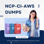 Ncp-ci-aws dumps from dumpsboss: your path to pass