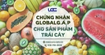 Tăng uy tín và doanh thu nhờ chứng nhận globalg.a.p cho trái cây