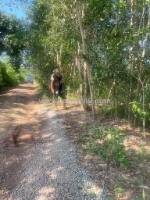 ► cần bán đất tại bắc tân uyên - bình dương