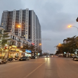 💥 đất vàng trâu quỳ - cơ hội duy nhất
