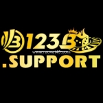 123b support