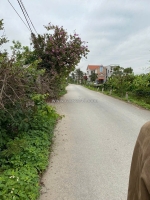 3,x tỷ - siêu phẩm nhà vườn 583m² lô 2 trục trung nghĩa – minh đức đồ sơn  zalo