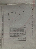 5700mv đường dân hiến đang mở rộng 12m hoà hội hcm