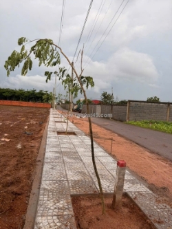 800m đường nhựa vỉa hè . khu dân cư . có 80 thổ cư tại nghĩa thành . giá chỉ 1ty