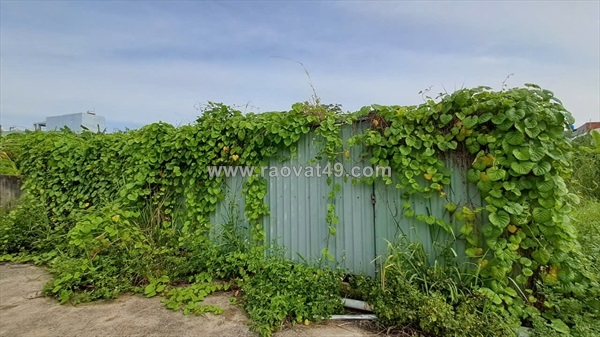 ~/Img/2025/10/ban-2-lo-dat-lien-ke-duong-so-40-hiep-binh-chanh-thanh-pho-thu-duc-01.jpg