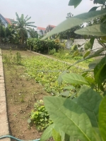 Bán 400m2 đất - mặt tiền rộng - ô tô tránh - ngũ hiệp - thanh trì
