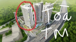 B.án chung cư nhà ở thương mại hacinco nguyễn xiển - 53-63-65-70-103m - 2 ngủ