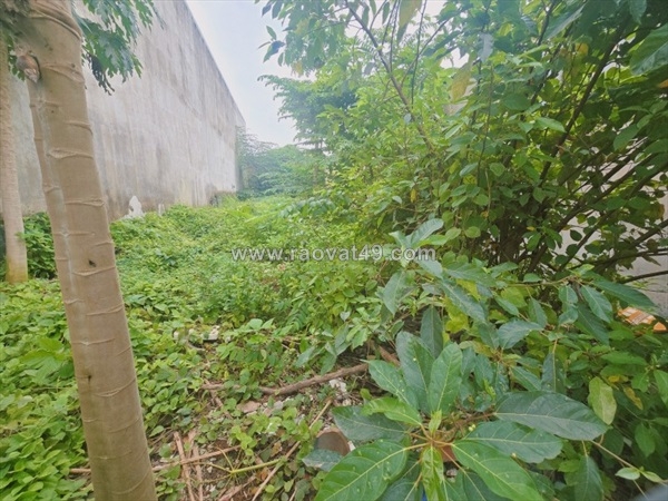 ~/Img/2025/10/ban-dat-1000m-pbien-hoa-moigan-cho-hoa-anshr-duong-xe-hoigia-mem-01.jpg