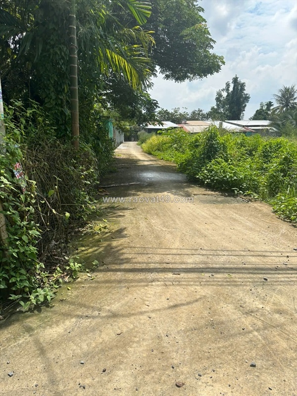 ~/Img/2025/10/ban-dat-265m2-duong-xe-hoi-xa-binh-my-huyen-cu-chi-01.jpg