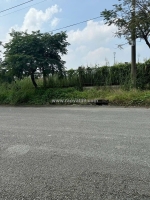 Bán đất 70x117m giá 39 tỷ cum công nghiệp nhị xuân