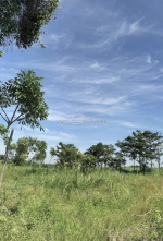 Bán đất công 1100m2 đất, cách phà cát lái chỉ 3,5km, phú huux, nhơn trạch,đồng