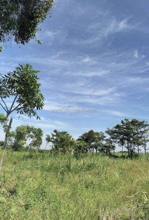 Bán đất công 1100m2 đất, cách phà cát lái chỉ 3,5km, phú huux, nhơn trạch,đồng