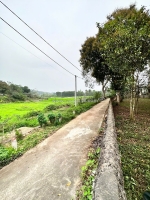 Bán đất đẹp mỹ trung – phường tùng thiện, sơn tây, hà nội