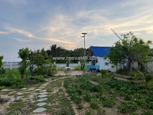 ~/Img/2025/10/ban-dat-dep-tai-chi-lang-vung-tau-14794m2-nhieu-tien-ich-15-ty-co-bot-loc-01.jpg