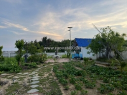 Bán đất đẹp tại chi lăng, vũng tàu, 1479.4m2, nhiều tiện ích, 15 tỷ (có bớt lộc)