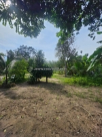 Bán đất thổ cư 1000m2, mặt tiền thạnh xuân 52, q.12. sổ hồng, giá 50 tỷ. lh: