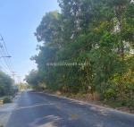 Bán đất thổ cư 3335m2 đường thanh niên, bình chánh. shr, giá 43 tỷ. lh: