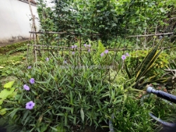 Bán đất vĩnh trung – gần hồ – ngõ nông – giá tốt! hơn 3 tỷ