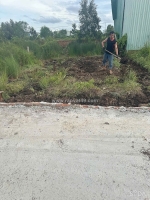Bán gấp - lô đất chính chủ nền cao ráo cực đẹp -  rừng sến , xã mỹ hạnh bắc,