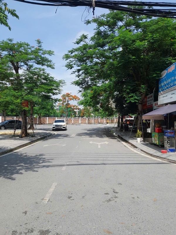 ~/Img/2025/10/ban-nha-kim-giang-thanh-liet-5070-m2-54-tang-mat-tien-4-m-gia-126-ty-02.jpg