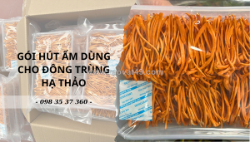 Bảo quản, giữ khô đông trùng hạ thảo bằng gói hút ẩm thịnh phong