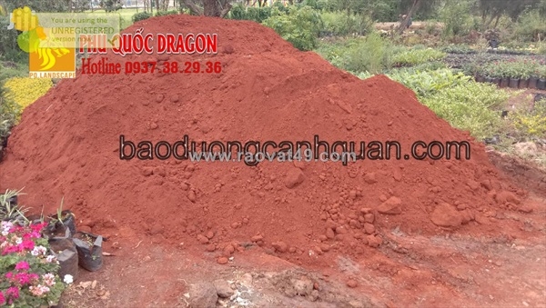~/Img/2025/10/bi-quyet-cho-khu-vuon-xanh-tuoi-va-ruc-ro-01.jpg