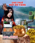 Bí quyết săn tìm kho báu trong rừng sâu