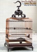 Các loại g chim chào mào cho chim non